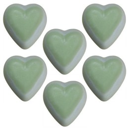 Fondants en Cire Soja - Menthe et Menthol 