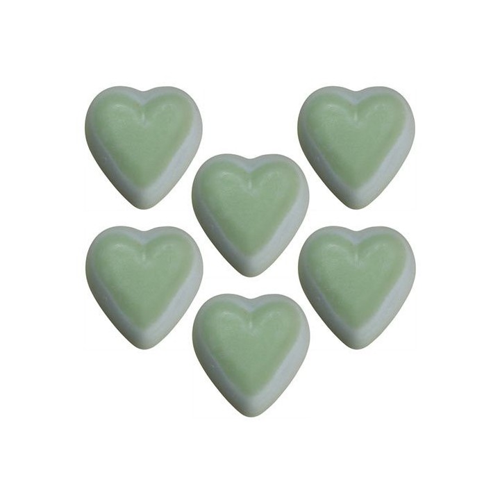 Fondants en Cire Soja - Menthe et Menthol 