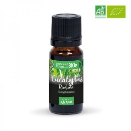 Huile essentielle d'Eucalyptus Radiata Bio
