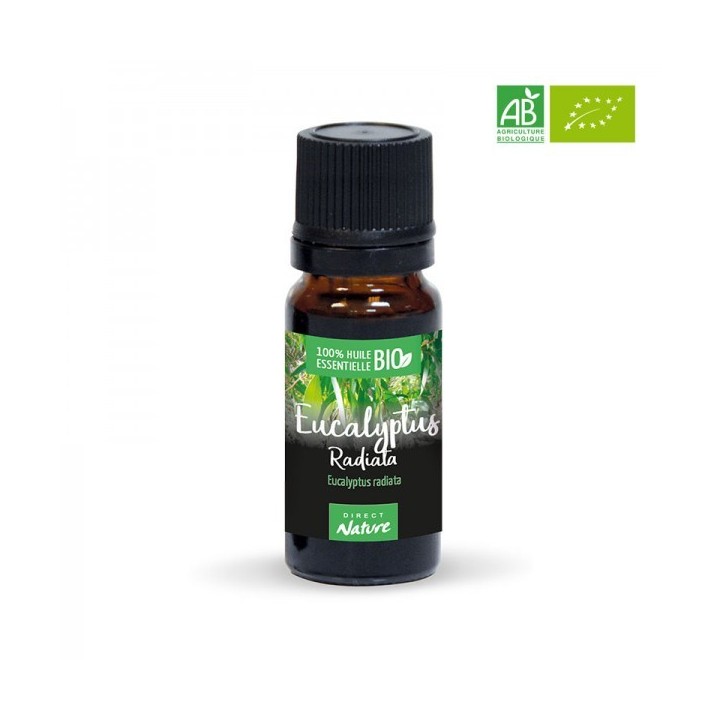 Huile essentielle d'Eucalyptus Radiata Bio