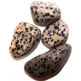 Jaspe Dalmatien