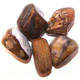 Bois pétrifié