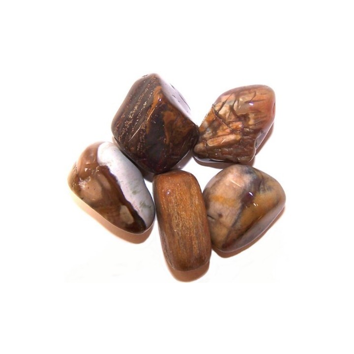 Bois pétrifié