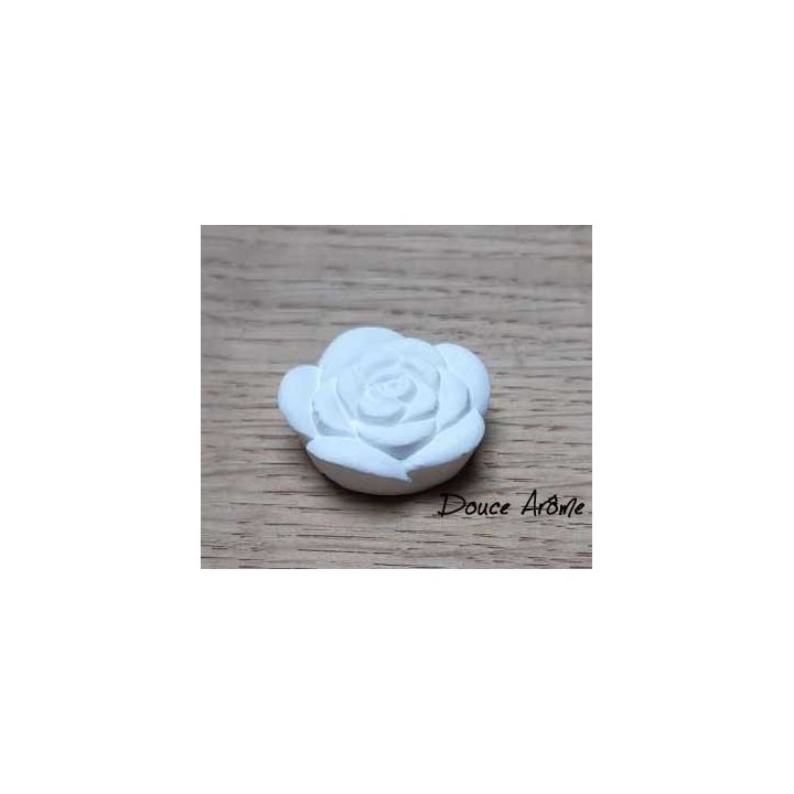 Diffuseur galet - fleur