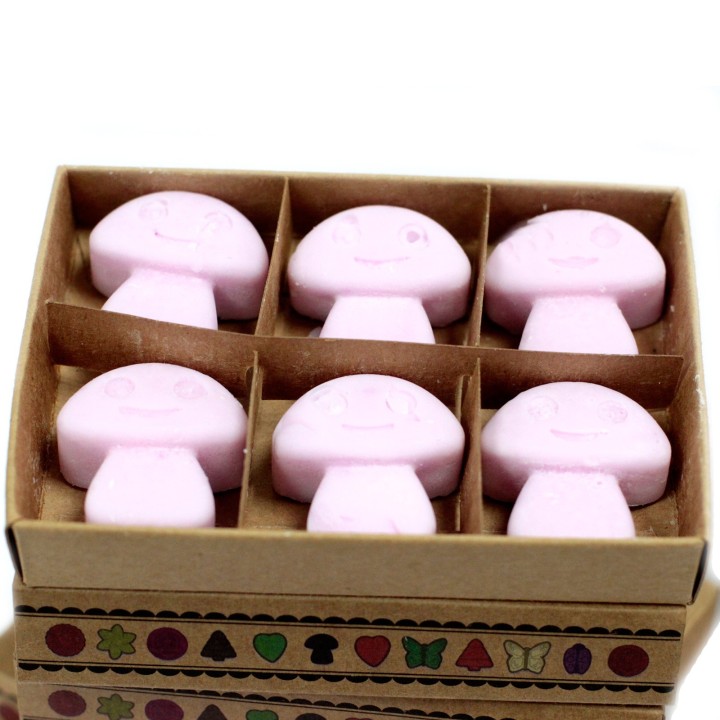 Fondants en Cire Soja - Ylang Ylang