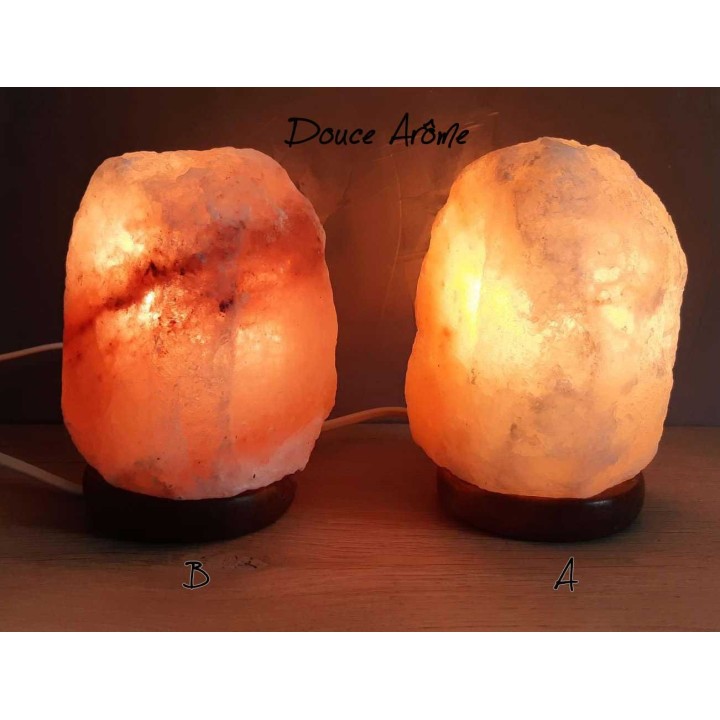 Lampe de sel d'Himalaya