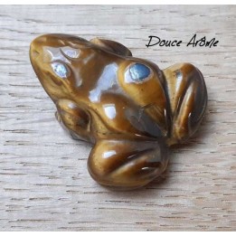 Grenouille en Oeil du Tigre