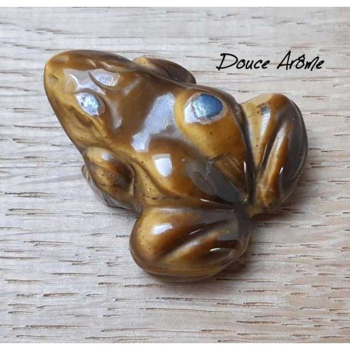 Grenouille en Oeil du Tigre