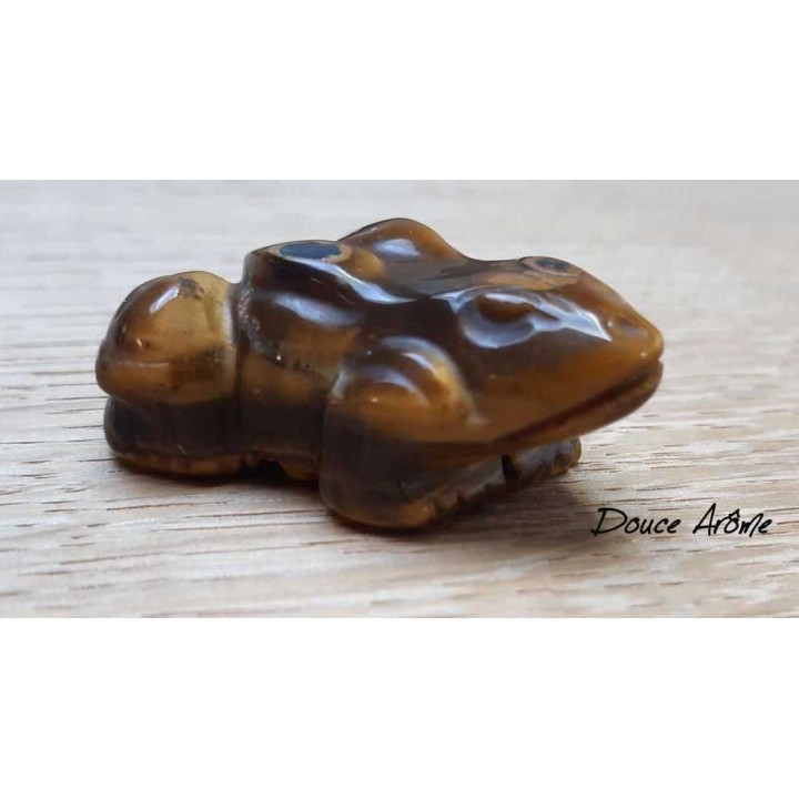 Grenouille en Oeil du Tigre