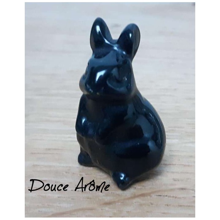Lapin en Osidienne noire