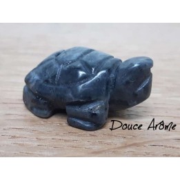 Tortue en Labradorite