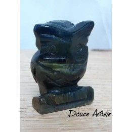Chouette en Oeil du Faucon