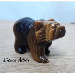 Ours en Oeil du Tigre