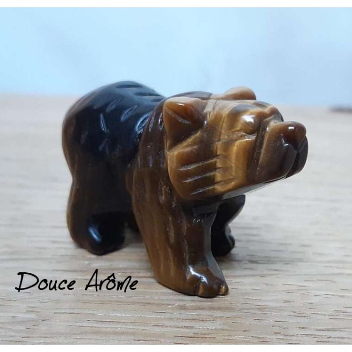 Ours en Oeil du Tigre