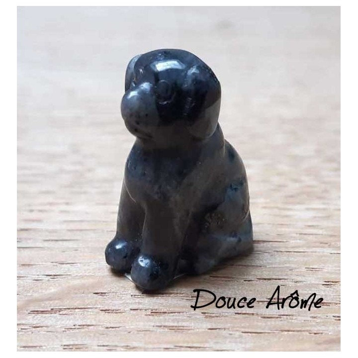 Chien en Labradorite