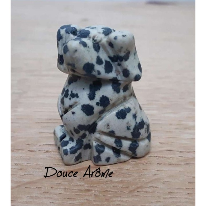 Chien en Jaspe Dalmatin