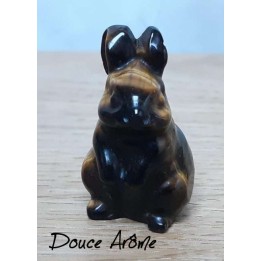Lapin en Oeil du Tigre