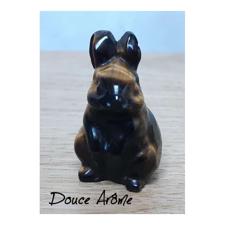 Lapin en Oeil du Tigre