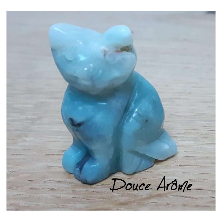 Chat en Amazonite