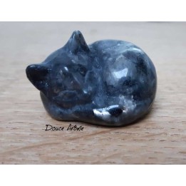 Chat en Labradorite