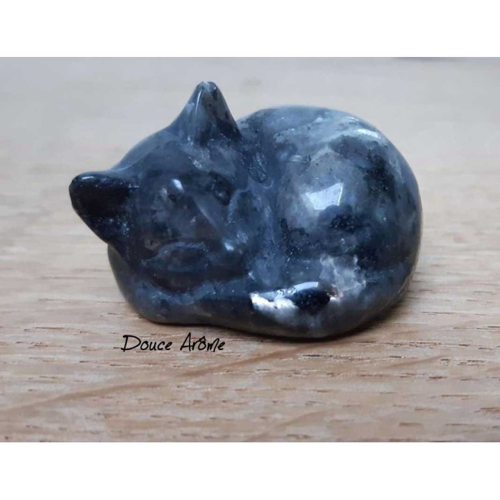 Chat en Labradorite