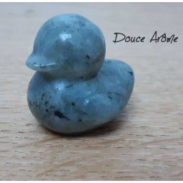 Canard en Labradorite