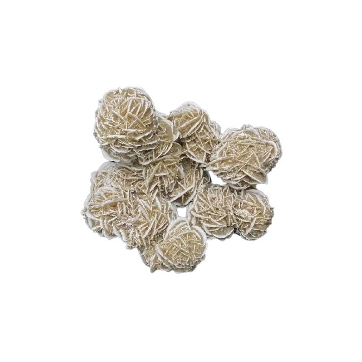 Rose des Sables