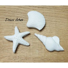 Diffuseur galet - coquillage