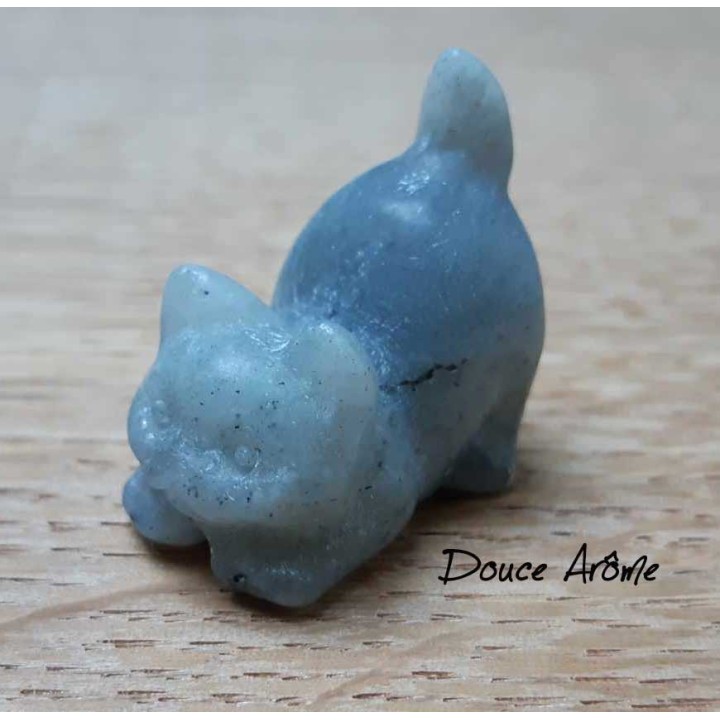 Chat en Labradorite