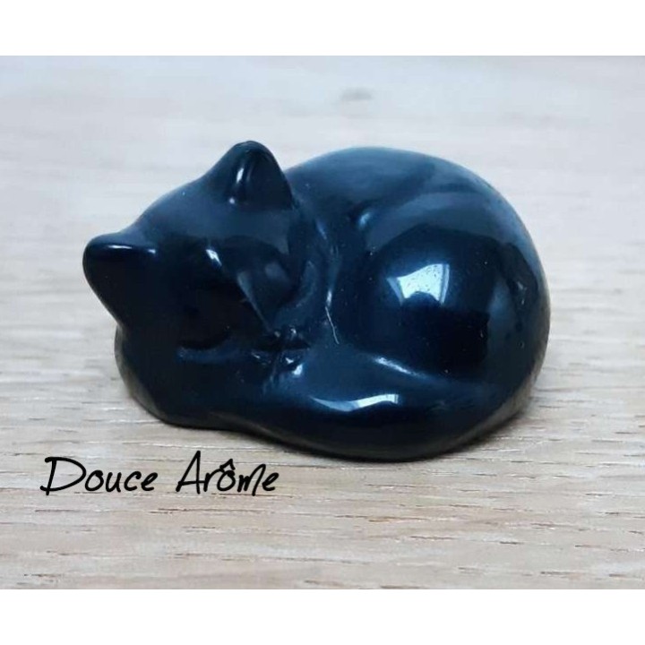 Chat en Obsidienne noire