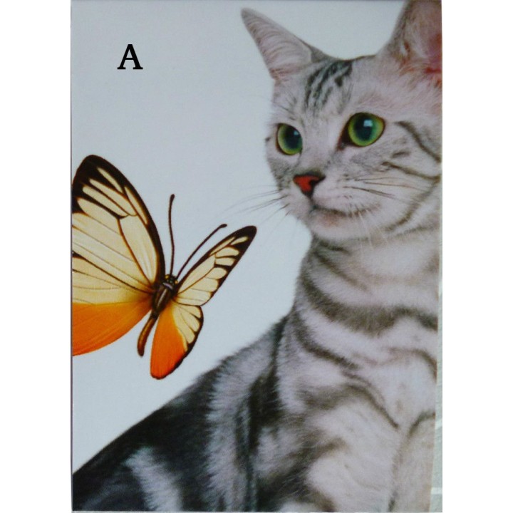 Carnet de notes - Chat