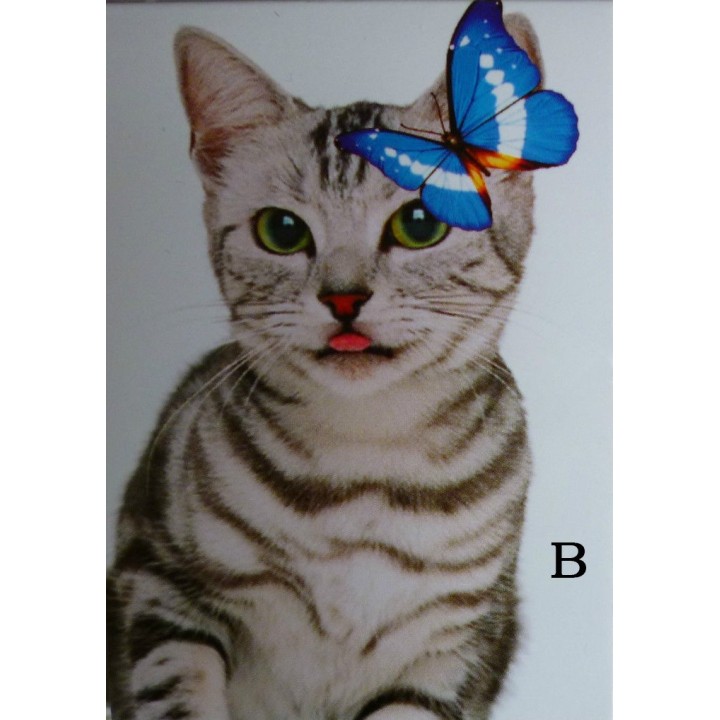 Carnet de notes - Chat