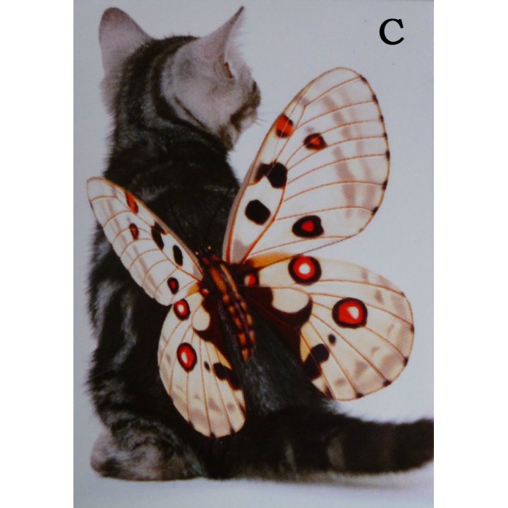 Carnet de notes - Chat