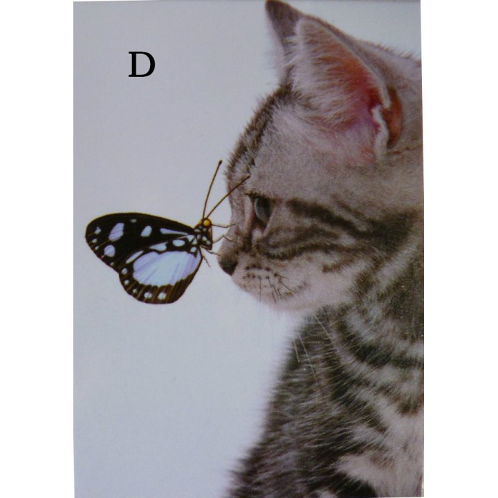 Carnet de notes - Chat