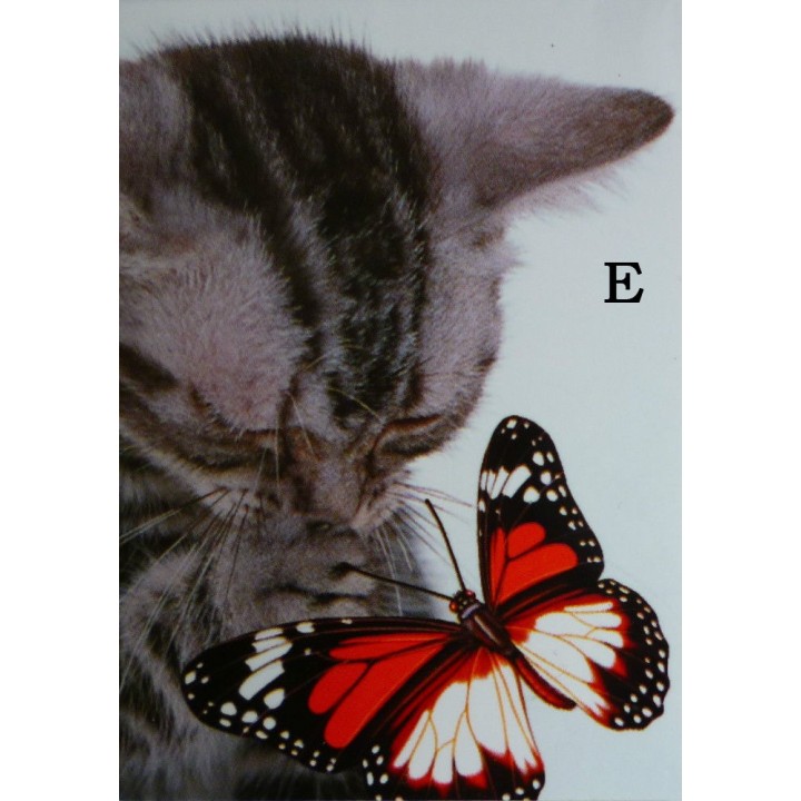 Carnet de notes - Chat