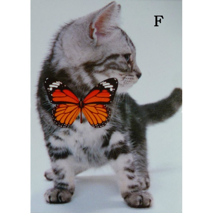 Carnet de notes - Chat
