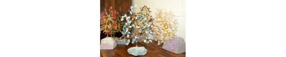 Arbres de Vie / Arbres à gemmes